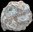 Crystal Filled Dugway Geode (Polished Half) #67489-1